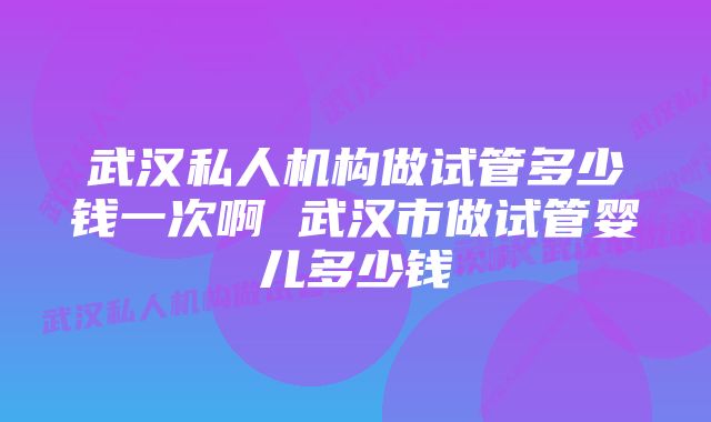 武汉私人机构做试管多少钱一次啊 武汉市做试管婴儿多少钱