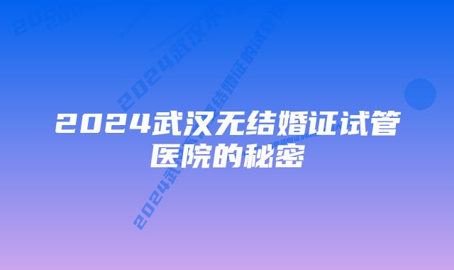 2024武汉无结婚证试管医院的秘密