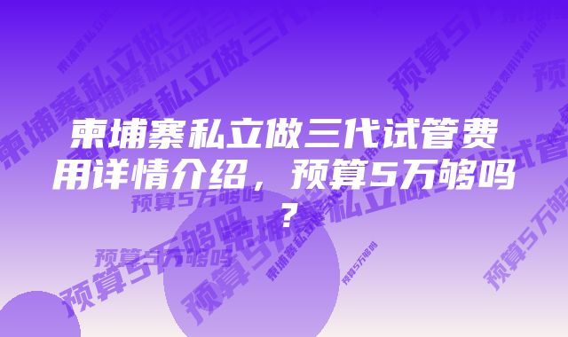 柬埔寨私立做三代试管费用详情介绍，预算5万够吗？