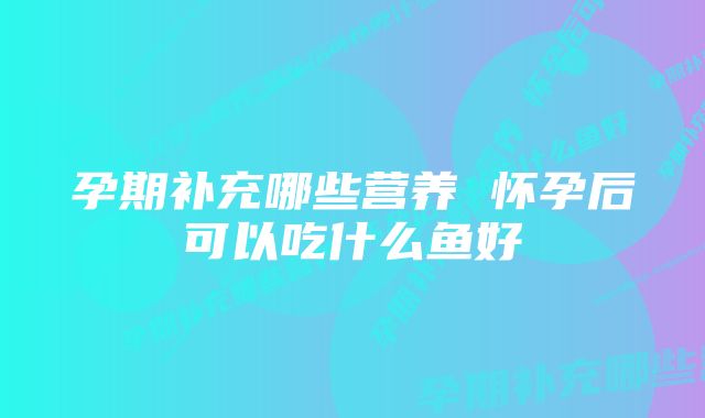 孕期补充哪些营养 怀孕后可以吃什么鱼好