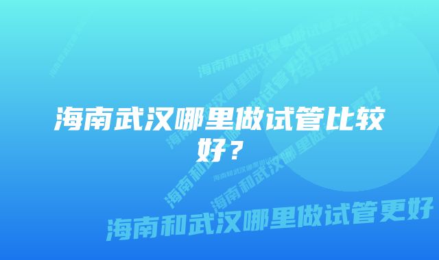 海南武汉哪里做试管比较好？