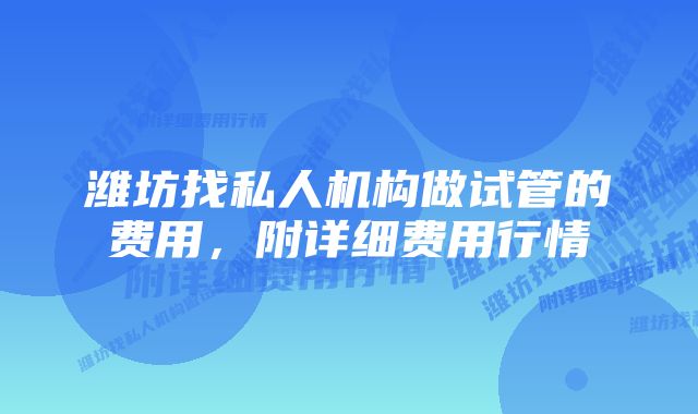 潍坊找私人机构做试管的费用，附详细费用行情