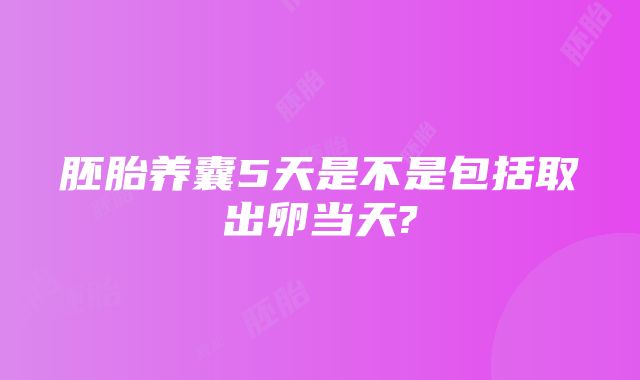 胚胎养囊5天是不是包括取出卵当天?