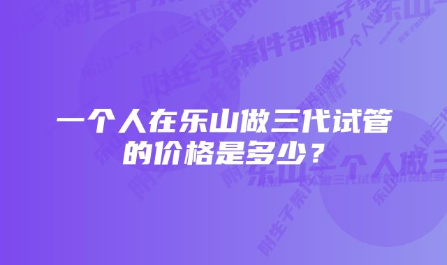 一个人在乐山做三代试管的价格是多少？