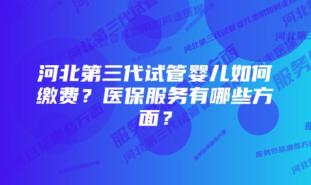 河北第三代试管婴儿如何缴费？医保服务有哪些方面？