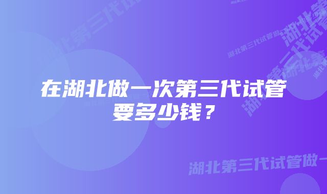 在湖北做一次第三代试管要多少钱？