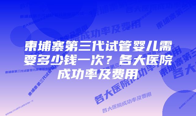 柬埔寨第三代试管婴儿需要多少钱一次？各大医院成功率及费用