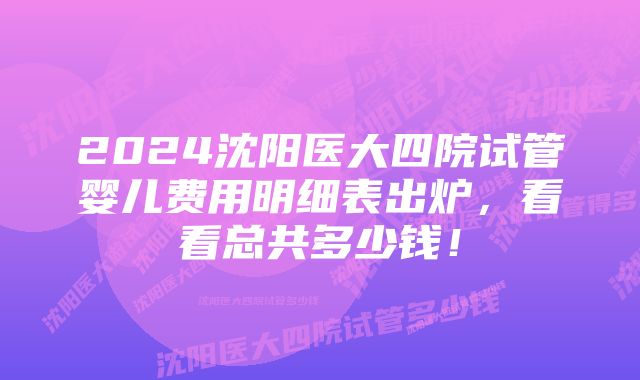 2024沈阳医大四院试管婴儿费用明细表出炉，看看总共多少钱！