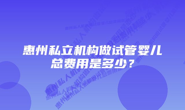 惠州私立机构做试管婴儿总费用是多少？