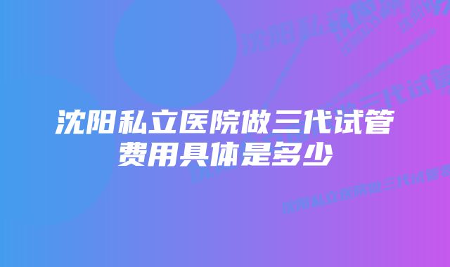 沈阳私立医院做三代试管费用具体是多少