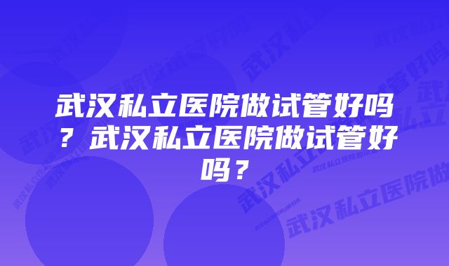 武汉私立医院做试管好吗？武汉私立医院做试管好吗？