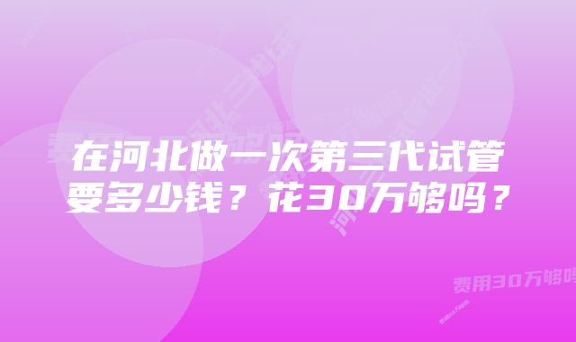 在河北做一次第三代试管要多少钱？花30万够吗？