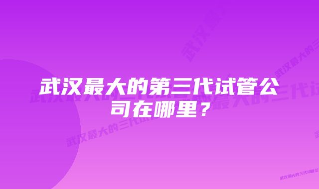 武汉最大的第三代试管公司在哪里？