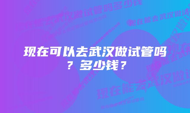 现在可以去武汉做试管吗？多少钱？