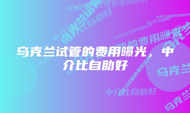 乌克兰试管的费用曝光，中介比自助好