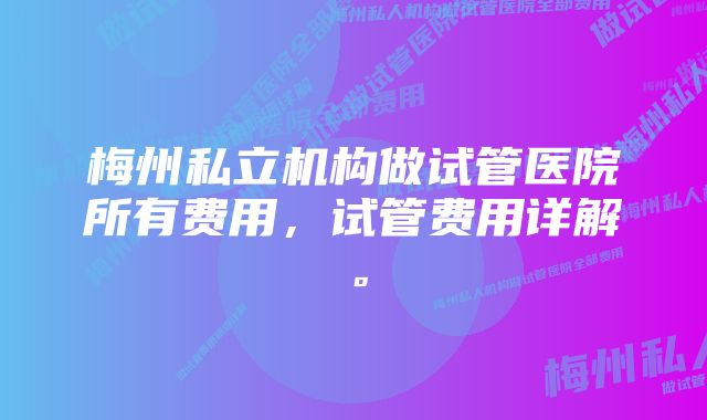 梅州私立机构做试管医院所有费用，试管费用详解。