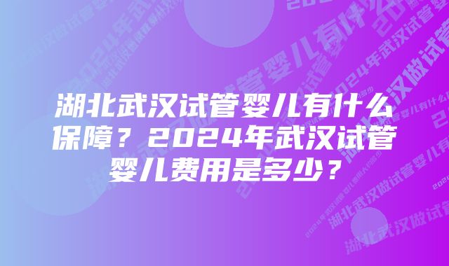 湖北武汉试管婴儿有什么保障？2024年武汉试管婴儿费用是多少？