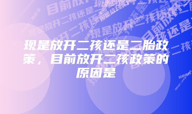 现是放开二孩还是二胎政策，目前放开二孩政策的原因是