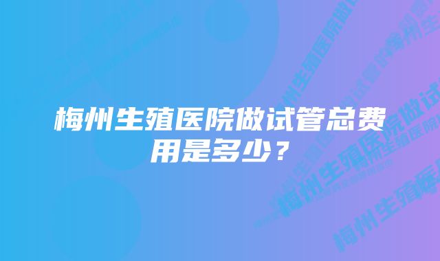 梅州生殖医院做试管总费用是多少？