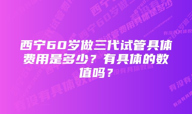 西宁60岁做三代试管具体费用是多少？有具体的数值吗？