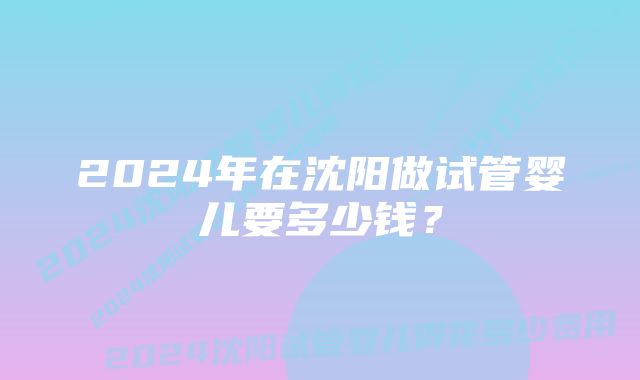 2024年在沈阳做试管婴儿要多少钱？