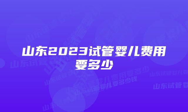 山东2023试管婴儿费用要多少