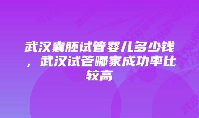 武汉囊胚试管婴儿多少钱，武汉试管哪家成功率比较高