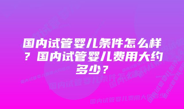 国内试管婴儿条件怎么样？国内试管婴儿费用大约多少？