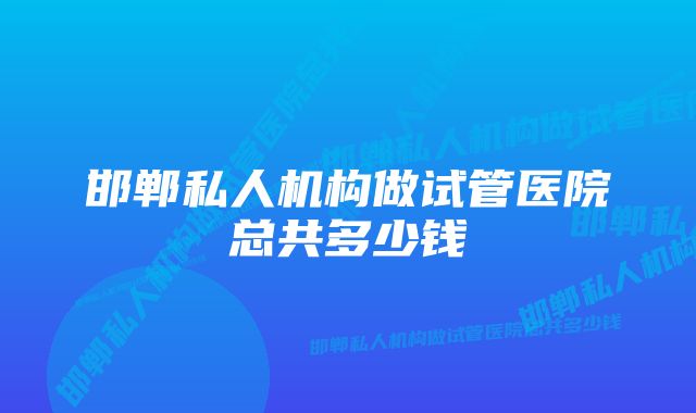 邯郸私人机构做试管医院总共多少钱