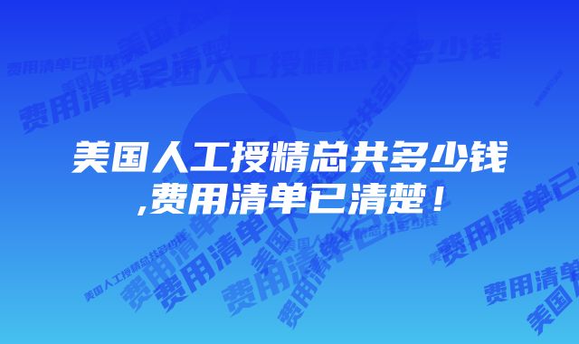 美国人工授精总共多少钱,费用清单已清楚！