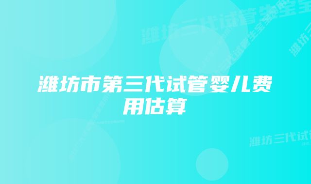 潍坊市第三代试管婴儿费用估算