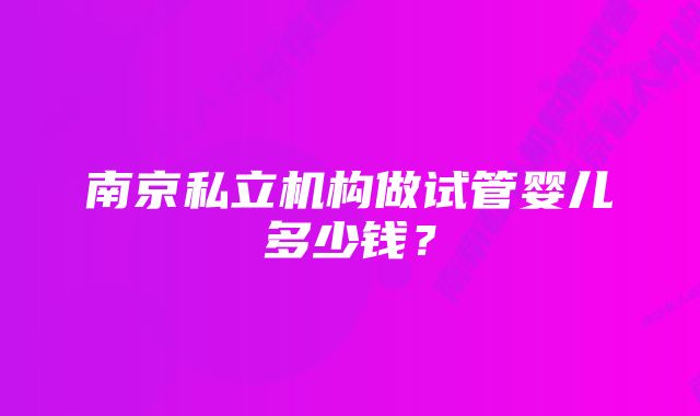 南京私立机构做试管婴儿多少钱？