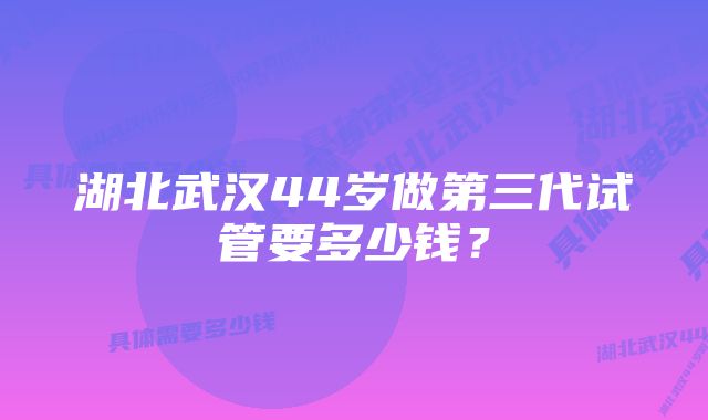 湖北武汉44岁做第三代试管要多少钱？