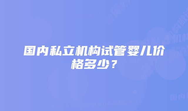 国内私立机构试管婴儿价格多少？