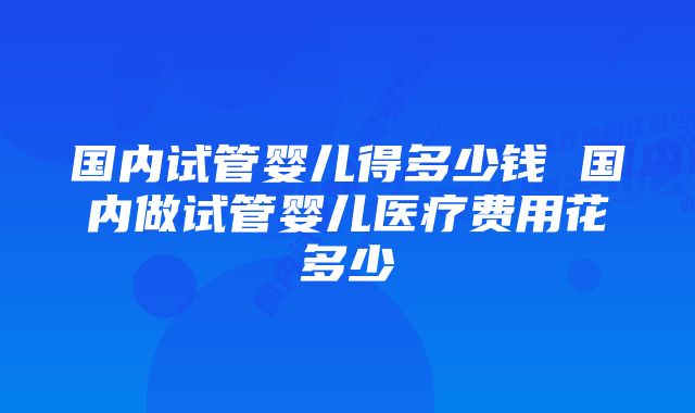 国内试管婴儿得多少钱 国内做试管婴儿医疗费用花多少