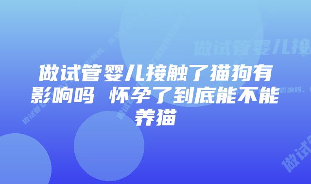 做试管婴儿接触了猫狗有影响吗 怀孕了到底能不能养猫