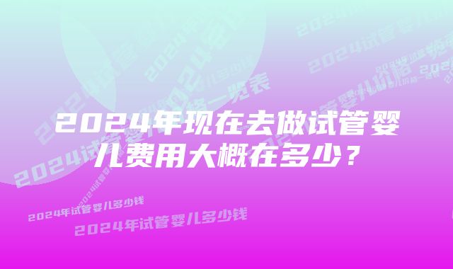 2024年现在去做试管婴儿费用大概在多少？