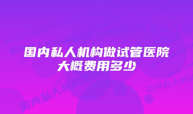 国内私人机构做试管医院大概费用多少