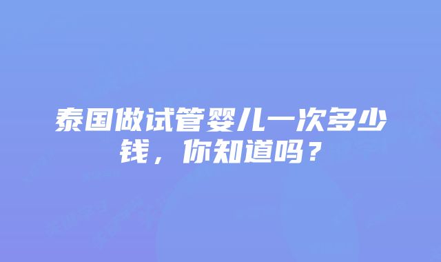 泰国做试管婴儿一次多少钱，你知道吗？