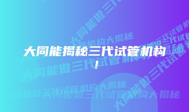 大同能揭秘三代试管机构！