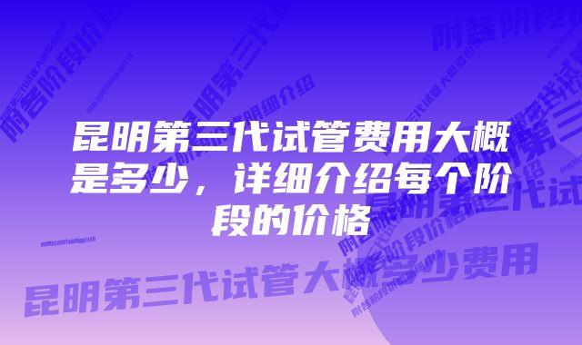 昆明第三代试管费用大概是多少，详细介绍每个阶段的价格