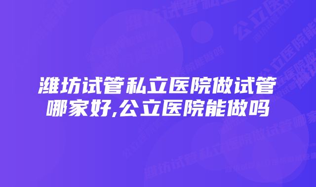 潍坊试管私立医院做试管哪家好,公立医院能做吗