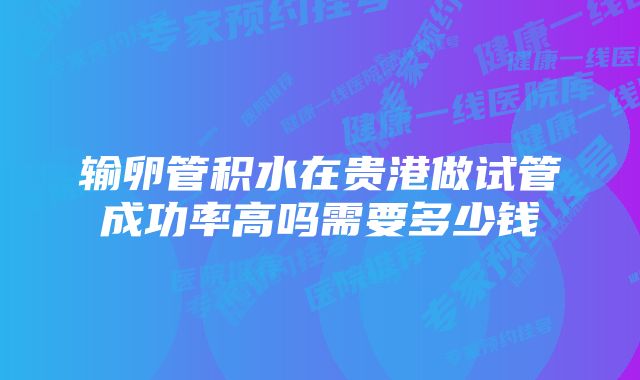 输卵管积水在贵港做试管成功率高吗需要多少钱