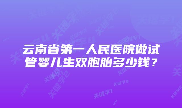 云南省第一人民医院做试管婴儿生双胞胎多少钱？