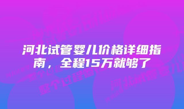 河北试管婴儿价格详细指南，全程15万就够了