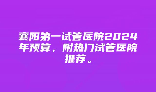 襄阳第一试管医院2024年预算，附热门试管医院推荐。