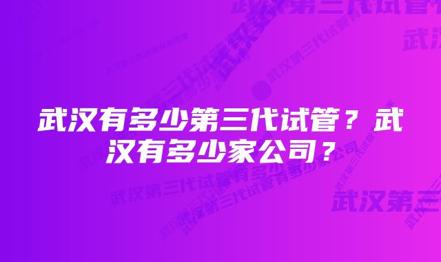 武汉有多少第三代试管？武汉有多少家公司？