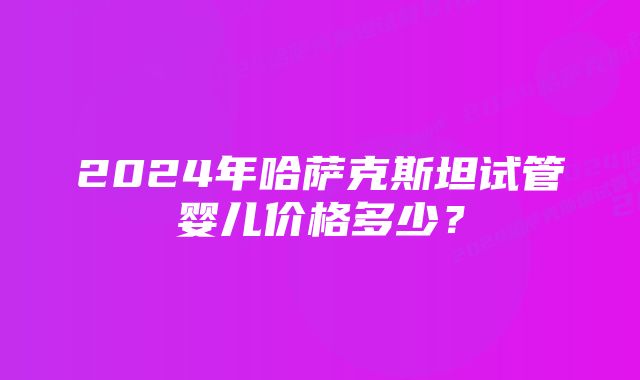 2024年哈萨克斯坦试管婴儿价格多少？