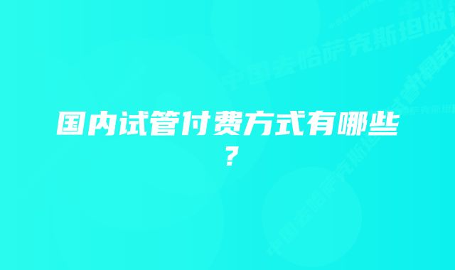 国内试管付费方式有哪些？