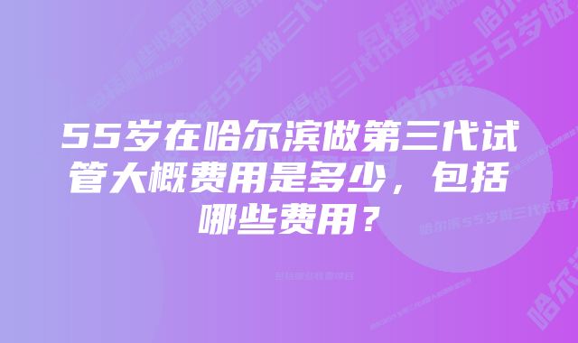 55岁在哈尔滨做第三代试管大概费用是多少，包括哪些费用？